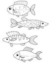 Vector small fish isolated on white background. Coloring book marine life, set of vector elements. Fish outline. Royalty Free Stock Photo