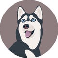 Vector smiling Siberian Husky avatar, tongue hanging out. Cute cartoon pet. Domestic animal Royalty Free Stock Photo