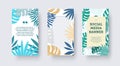 Vector social media banner with tropical leaves, palm trees, monstera, exotic plants in blue, green, nude colors on a white