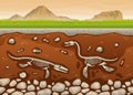 Soil Underground Layers With Dinosaur Fossil Paleontology Excavations Cartoon Vector Royalty Free Stock Photo