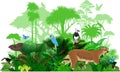 Vector South America tropical jungle rainforest illustration with animals. Royalty Free Stock Photo