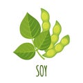 Vector Soy icon in flat style isolated on white Royalty Free Stock Photo