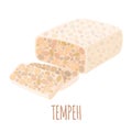 Vector Soy tempeh icon in flat style isolated on white