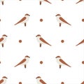 Vector sparrow seamless pattern illustration isolated on white background. Cute hand-drawn sparrow birds.