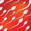 Vector spermatozoons, floating to ovule