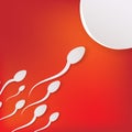 Vector spermatozoons, floating to ovule