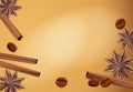 Vector spices: cinnamon, coffee bean, star anise Royalty Free Stock Photo