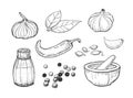 Vector spices set