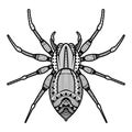 Vector spider of hand drawn