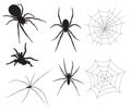 Vector Spider Illustrations Royalty Free Stock Photo