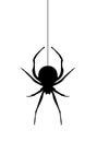 Vector Spider Silhouette