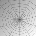Vector spider web Royalty Free Stock Photo