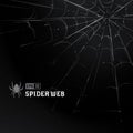 Vector Spider Web on Black