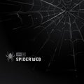 Vector Spider Web on Black Royalty Free Stock Photo