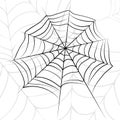 Vector spider web.