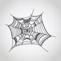 Vector spider-web