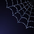 Vector spider web illustration Royalty Free Stock Photo