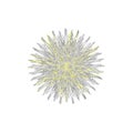 Vector spirograph pattern on white background