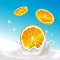 vector splash of milk with orange fruit - illustration Royalty Free Stock Photo