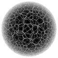 Vector spongy black and white ball