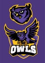 Sport mascot style of owl in set