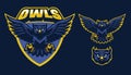 Sport style of owl mascot