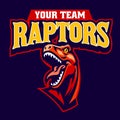 Sport Team Logo Raptor Mascot Royalty Free Stock Photo