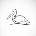 Vector of Spot-billed pelican bird Pelecanus philippensis on white background. Wild Animals. Easy editable layered vector