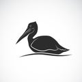 Vector of Spot-billed pelican bird Pelecanus philippensis on white background. Wild Animals. Easy editable layered vector