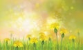 Vector of spring background with yellow dandelions. Royalty Free Stock Photo