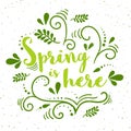Vector spring banner with hand drawing pattern. Spring is here - typography with grunge texture
