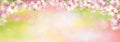 Vector spring,blossom, floral background. Royalty Free Stock Photo