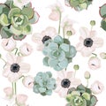 Vector spring flower seamless pattern with succulents and anemones flower. Royalty Free Stock Photo