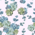 Vector spring flower seamless pattern with succulents. Elegant tender design. Can be used as greeting, wedding background. Royalty Free Stock Photo