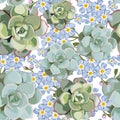 Vector spring flower seamless pattern with succulents and forget-me-not. Elegant tender design. Royalty Free Stock Photo