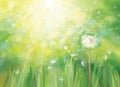 Vector spring  green background,  white dandelion. Royalty Free Stock Photo