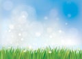 Vector spring nature background, blue sky and green grass. Royalty Free Stock Photo