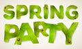 Vector Spring Party words, made from green leaves