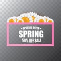 Vector spring sale web banner isolated on transparent background. Abstract spring sale pink label or background with
