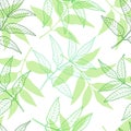 Vector spring seamless pattern with green leaf outlines, silhouettes.