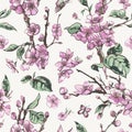 Vector spring seamless pattern, vintage floral bouquet with pink Royalty Free Stock Photo