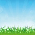 Vector spring or summer background Royalty Free Stock Photo