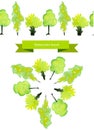 Vector spring tree brush. Green watercolor trees