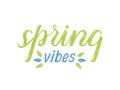 Vector textured lettering `Spring vibes`