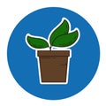 Vector sprout in flowerpot icon