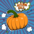 Vector square format banner of orange pumpkin on blue background