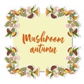 Vector square frame with forest mushrooms to decorate your projects