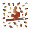 Vector squirell with acorns, mushrooms, oak seeds and leaves