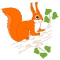 Vector Squirrel Sitting on the Tree