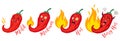 Vector st illustration of a spicy chilli peppers with flame. Cartoon red chilli for Mexican or Thai food Royalty Free Stock Photo